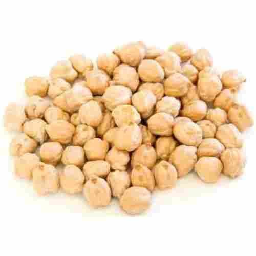 Commonly Cultivated Natural Healthy Indian Origin Dried Chickpeas