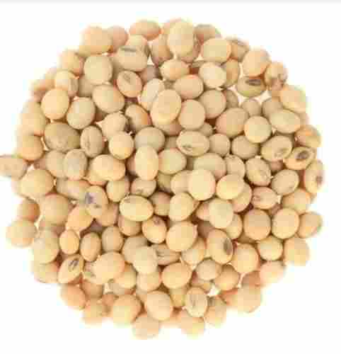 Locally Grown Preservative-Free and High Protein Soybean Seed 
