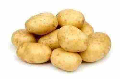 Pure And Natural Food Grade Round Fresh Raw Potato