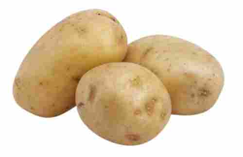 Pure And Fresh A Grade 68% Moisture Oval Shape Raw Whole Potato 