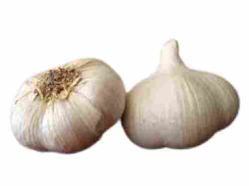 Raw Round Shape Fresh Vitamins Garlic For Cooking Use 