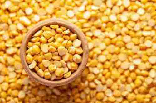 Splied 100% Pure Dried Indian Origin Commonly Cultivated Bengal Gram Dal
