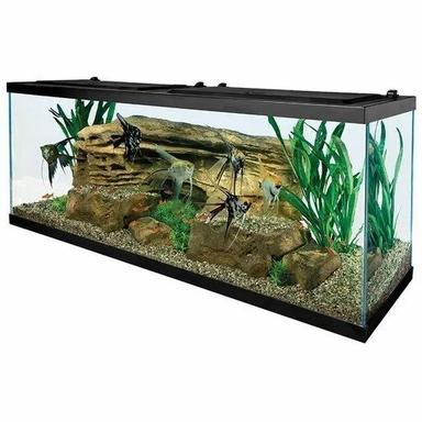 Rectangular Glass Transparent Moulded Fish Aquarium Tank