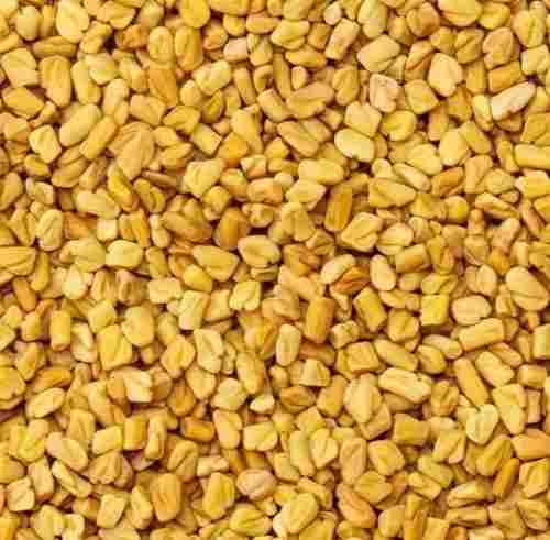 Common Cultivated 98% Pure Dried Edible Hybrid Methi Seed