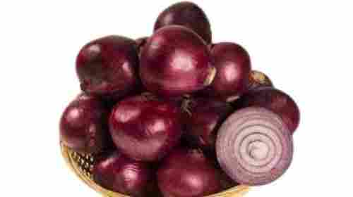 Naturally Grown Round Shape Fresh Red Onion For Cooking 