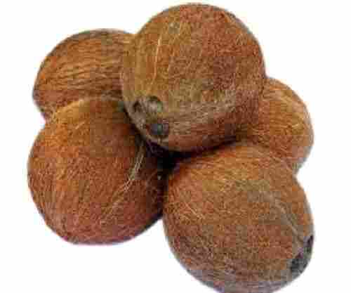 Round Shape Medium Size Matured Whole Commonly Cultivated Fresh Coconut Copra