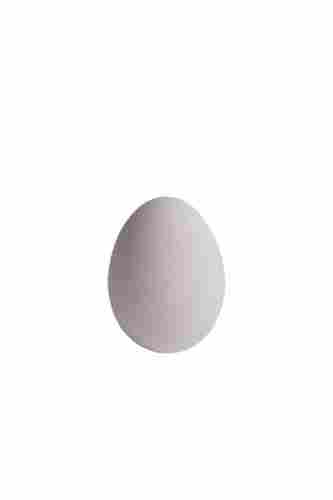 White Oval Shape Fresh Egg