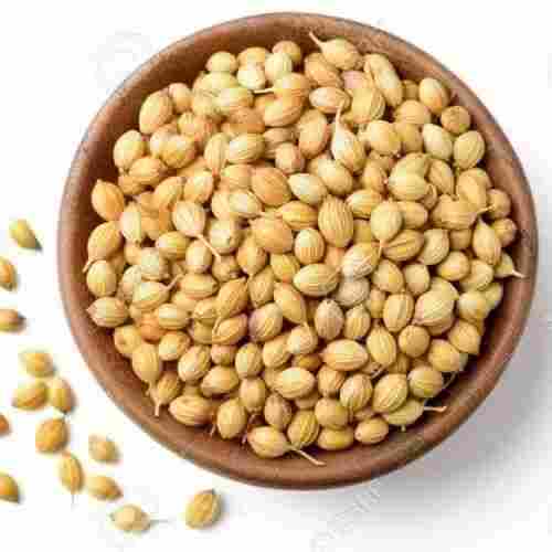 Light Green Coriander Seed Use For Agriculture And Cooking