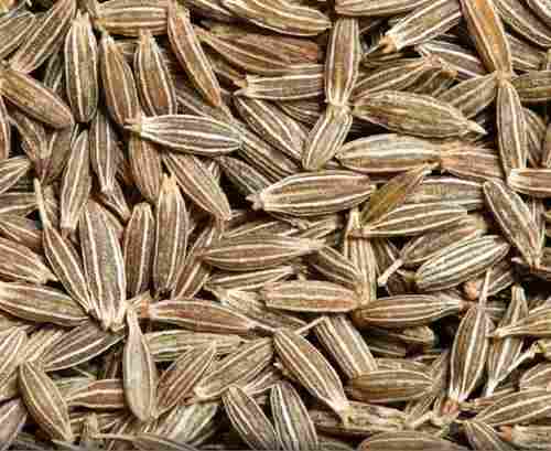 1 Year Shelf Life Rich In Taste Cumin Seeds For Cooking
