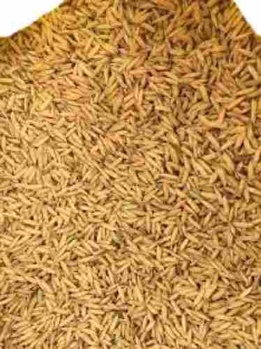 100% Pure Commonly Cultivated Dried Medium Grain Size Paddy Rice