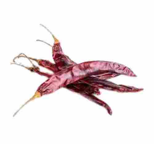 A Grade Dried Spicy Taste Dry Red Chilli For Cooking Use