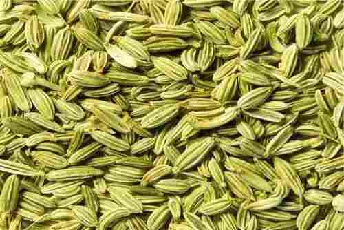 Rich In Taste Fennel Seeds For Foods And Medicine Use
