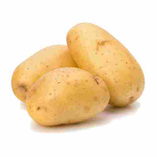 Indian Origin Round Shape Naturally Grown Farm Fresh Potato