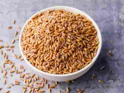 Common Natural Golden Brown Wheat Use For Chapati, Good For Health