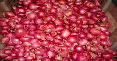 Automatic Export Quality Farm Fresh Small Red Onion For Cooking And Salad