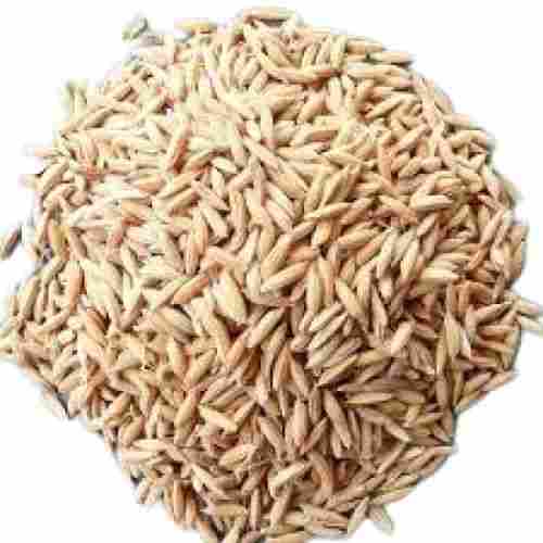 Medium Grain 100% Pure Commonly Cultivated Dried Paddy Rice