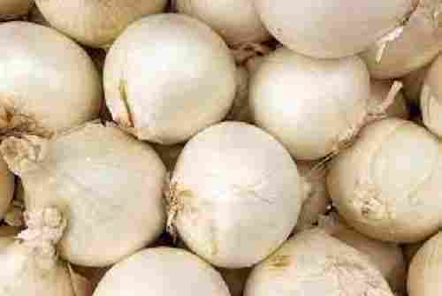Naturally Grown Fresh White Onion
