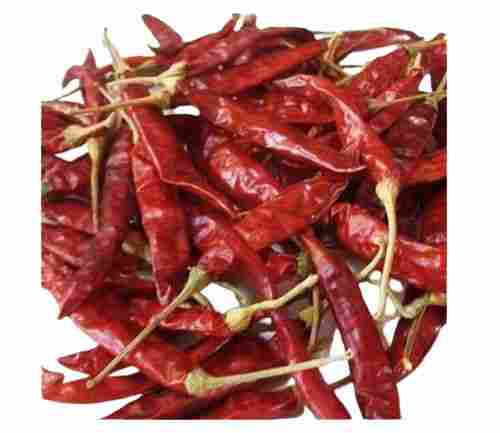 100 Percent Pure And Organic A Grade Spicy Raw Dried Red Chilli