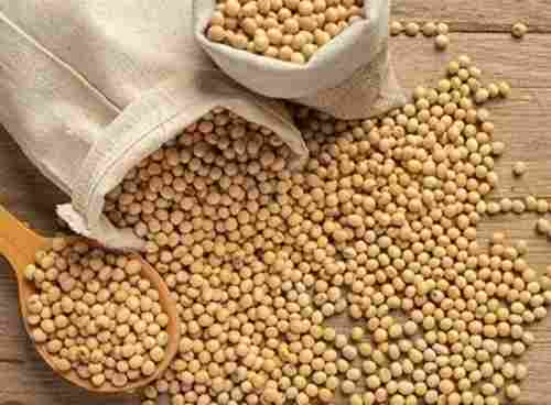 99% Pure Agriculture Grade Round Healthy Rich In Protein Dried Natural Soya Bean
