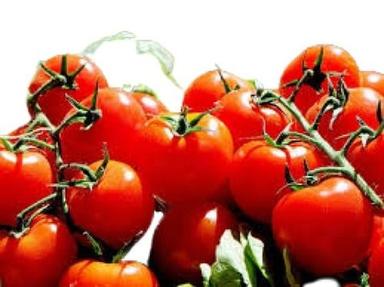 Round Shape Naturally Grown Red Fresh Tomato Moisture (%): 86%