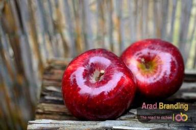 Organic Fresh Naturally Sweet Red Apples Origin: Iran