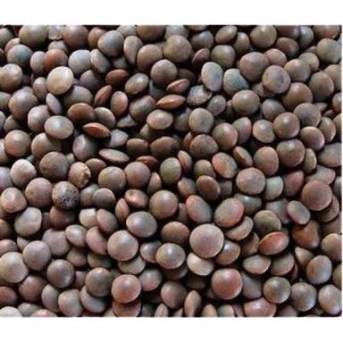 Pure And Dried Commonly Cultivated Whole Masoor Dal Admixture (%): 5%