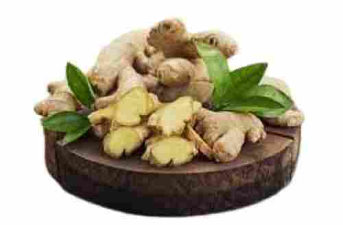 Long Shape Raw Processed 63-83% Moisture Content Fresh Ginger