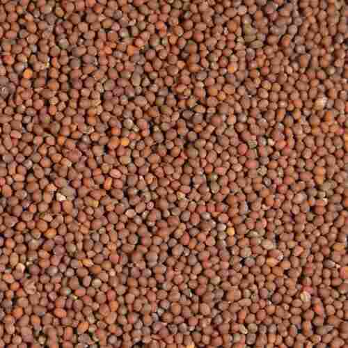 Machine Cleaned Whole Dried Brown Mustard Seeds (Sarson) For Cooking