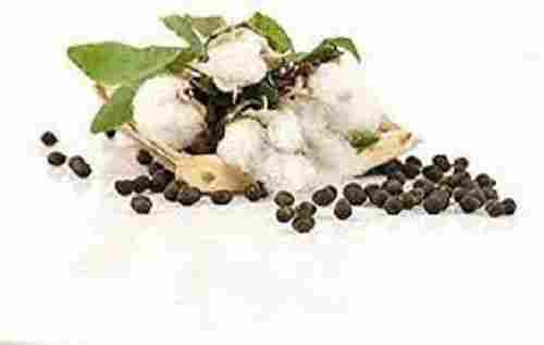 Seeds- Silk Cotton Tree Seeds