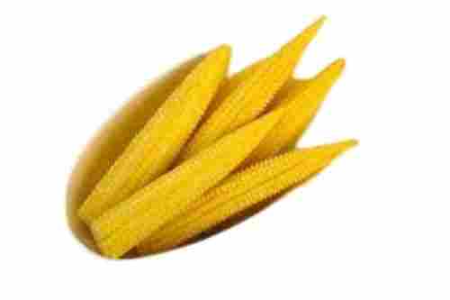 Naturally Grown 1% Broken Commonly Cultivated 100% Pure Fresh Baby Corn