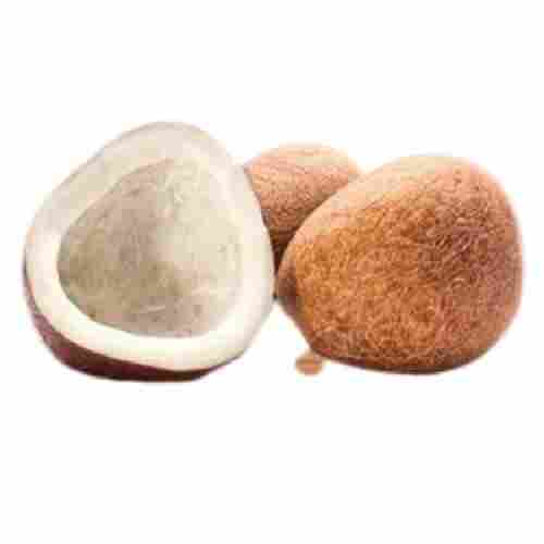 Round Shape Healthy Mild Flavor Commonly Cultivated Medium Size Dry Coconut
