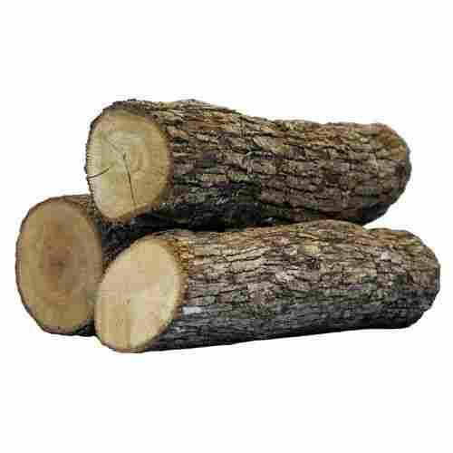 Wood Pine Logs for Furniture Use