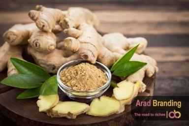 Ginger and It`s Medical Properties