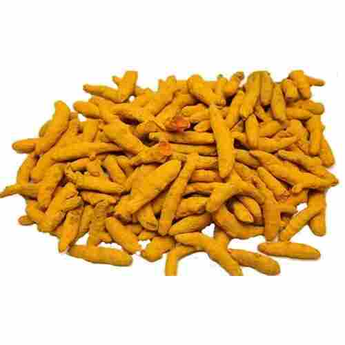 Export Quality Fresh Raw Yellow Dried Turmeric Finger (Haldi) For Cooking