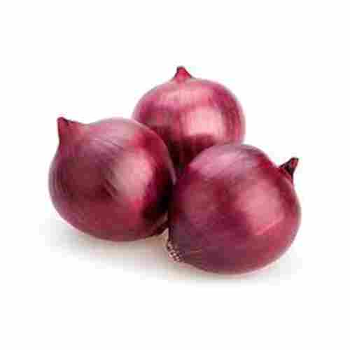 A Grade Indian Origin Commonly Cultivated Round Fresh Raw Onions