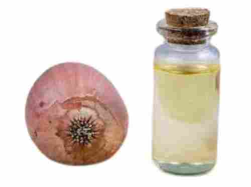 Organic Prevent Damage Hair Female Store 6 Month Onion Boost Hair Growth Oil