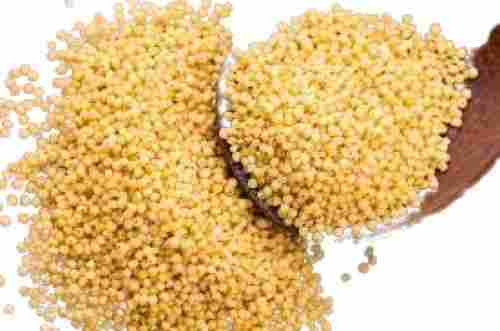 Commonly Culitvated 100% Pure Dried Soft Foxtail Millet