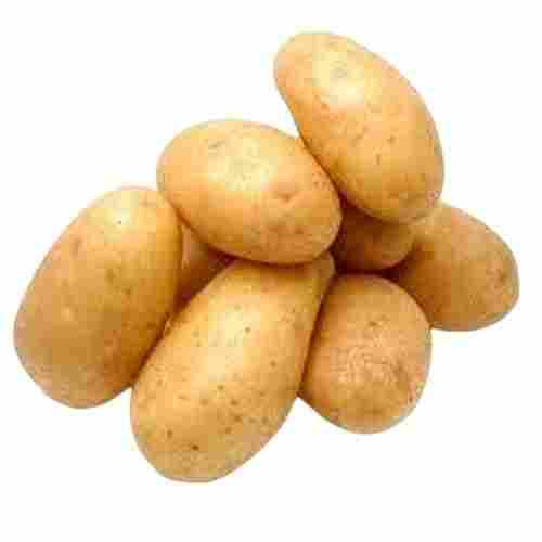Healthy And Brown Naturally Grown Oval Shape Fresh Potato
