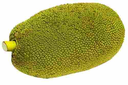 India Sweet Commonly Cultivated Oval Shape Fresh Jack Fruit