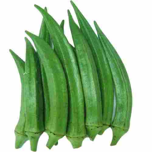 Long Shape Naturally Grown Healthy Rich In Calcium Raw Lady Finger