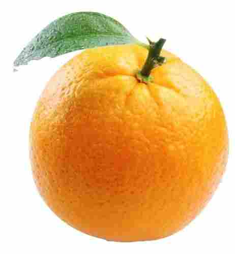 Orange Fruit