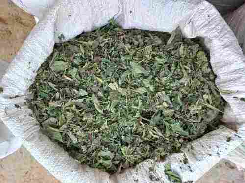 Dried Nettle Leaf With 1 Year Shelf Life, Pack Size 25 Kg