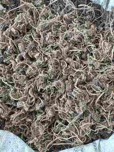 Dried Valerian Root for Medicinal Use With 1-2 Year Shelf Life