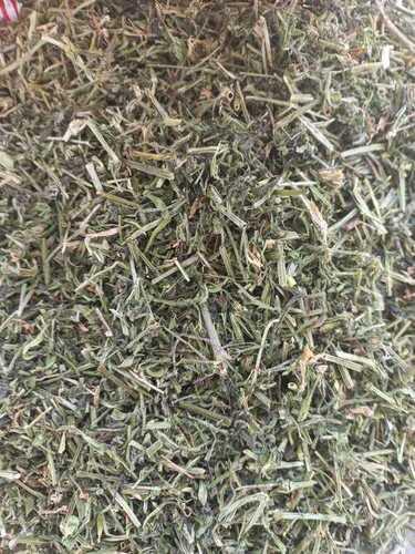 Dried Cleaver Herbs Use In Medicinal