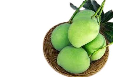 Common Indian Originated Oval Shape Sour Fresh Raw Green Mangoes