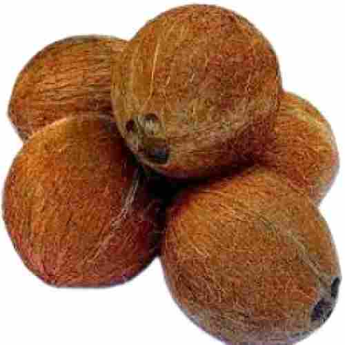 Medium Size Nutrient Rich Matured Whole Fresh Coconut 
