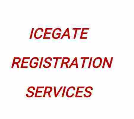 Icegate Registration Service