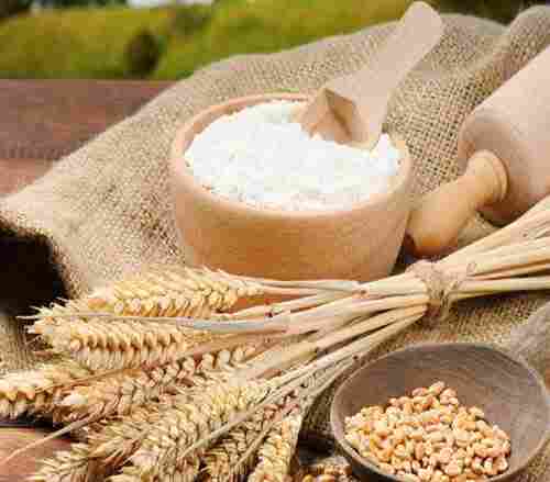 Machine Fine Ground Whole Wheat Flour For Human Consumption