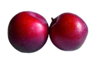 Common Farm Fresh Naturally Grown Round Red Plum Fruit