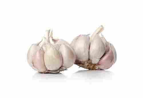 Natural And 100% Pure Fresh Organic Garlic